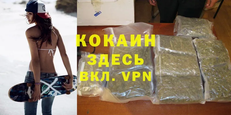 Cocaine FishScale  сколько стоит  Артёмовск 