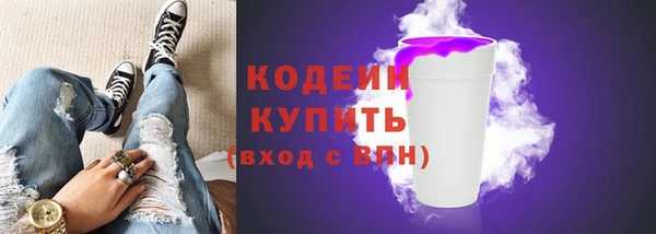 индика Горняк